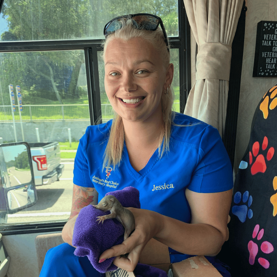 A vet in a blue shirt cradles a small animal in her hands