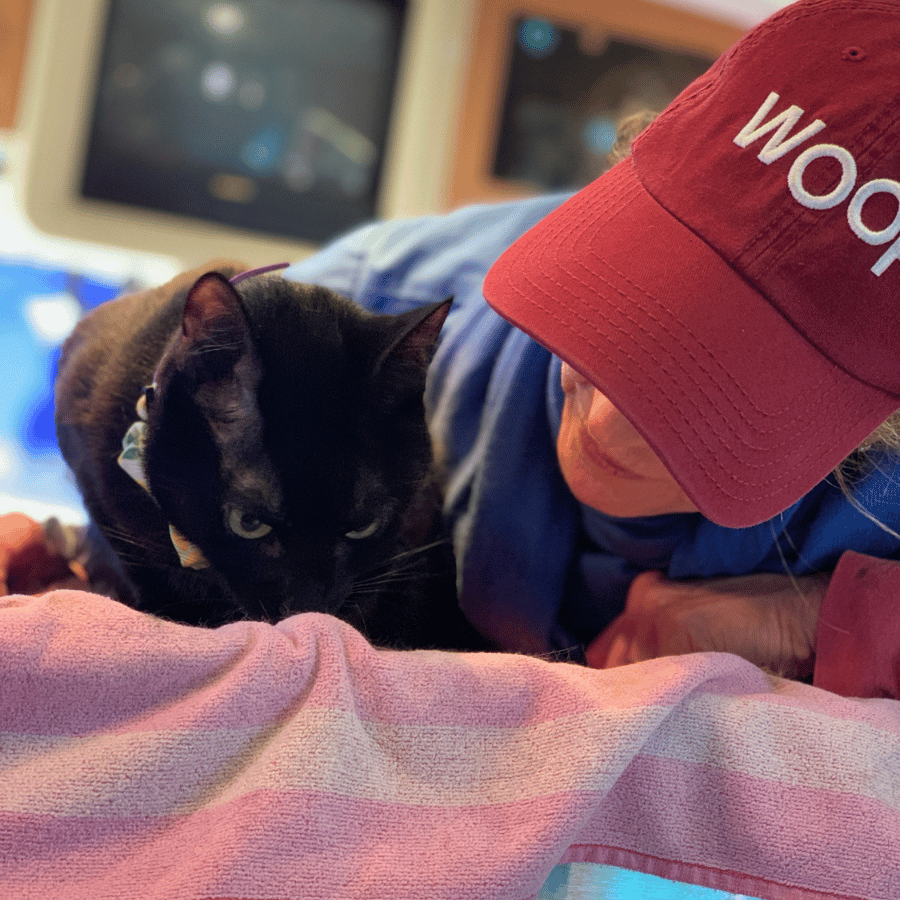 A vet in a red hat petting a cat