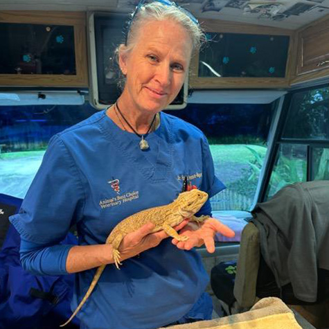 vet holding a bearded dragon in mobile services van